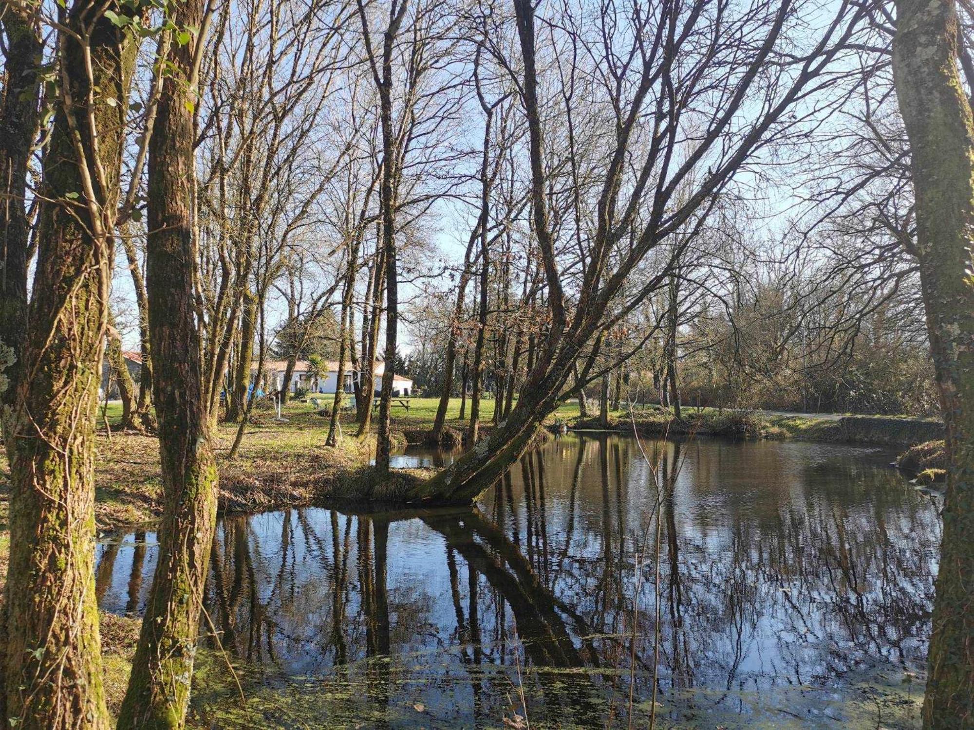 Charmante Maisonnee A La Campagne La Garnache Exterior foto